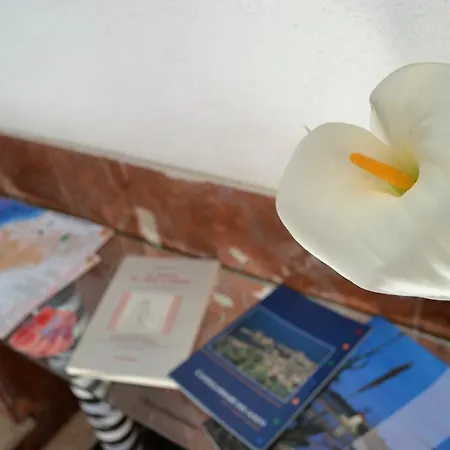 홈스테이 Da Jaco