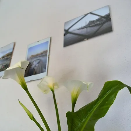 Da Jaco 홈스테이 카스텔라마레델골포